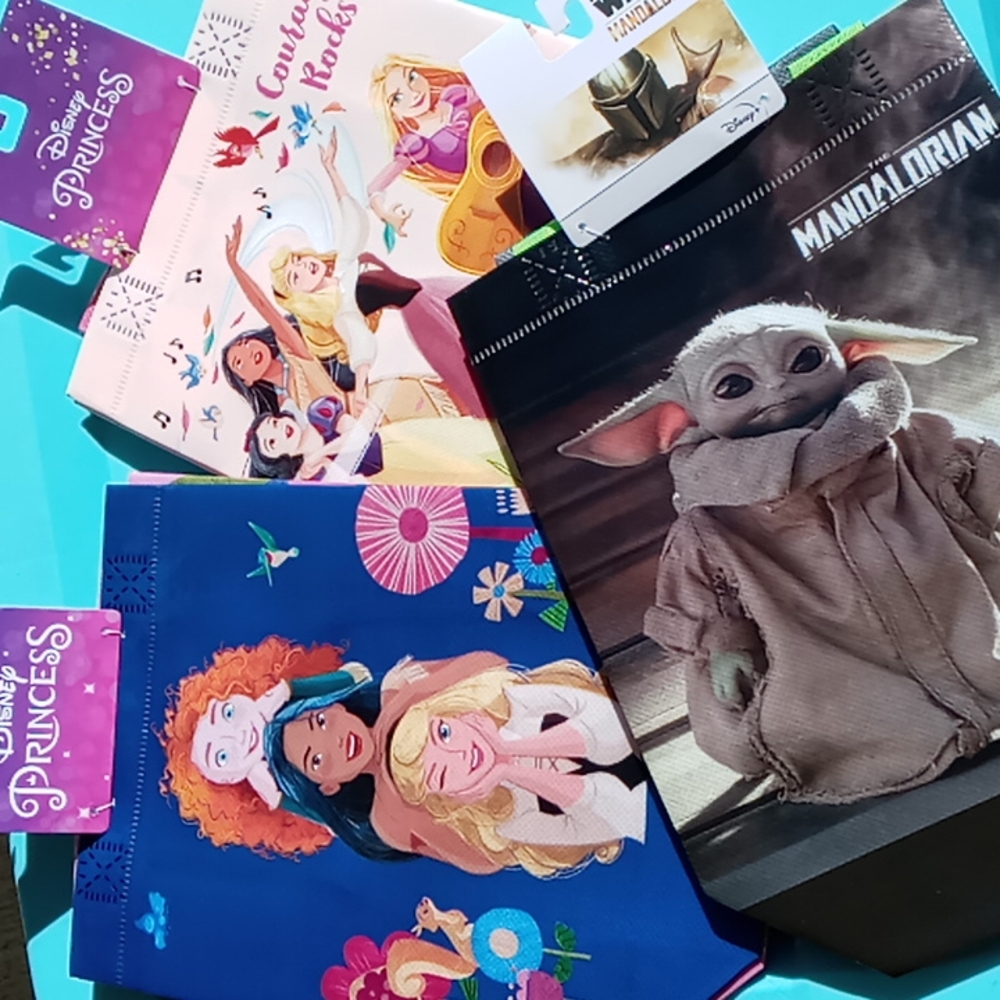 Disney Princess/Star Wars Mandalorian  inclusive characters kids treat bags